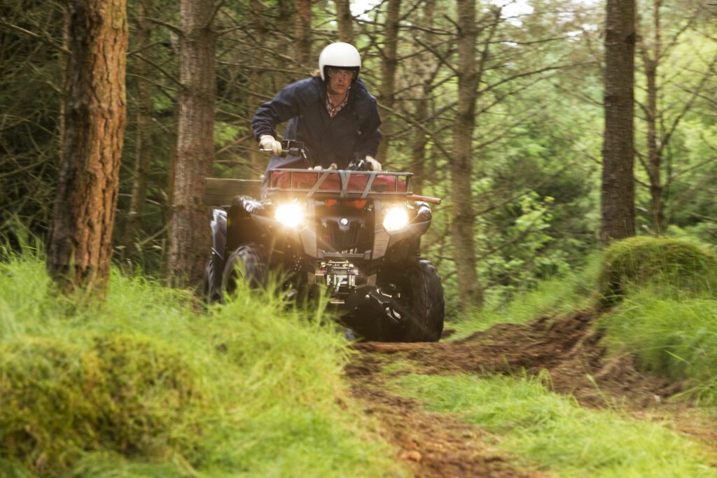 yamaha grizzly top speed